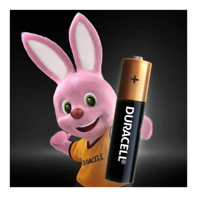 Duracell LR03-2BL BASIC 24/96/14592 2 шт. в уп-ке