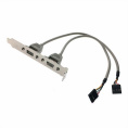 Кабель Advantech '1700100170-ME 1700100170-S Cable 2*5P-2.54/USB-A F *2 17.5cm W/BKT F/5/ Analog OEM '1700100170