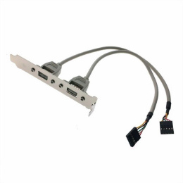 Кабель Advantech '1700100170-ME 1700100170-S Cable 2*5P-2.54/USB-A F *2 17.5cm W/BKT F/5/ Analog OEM '1700100170