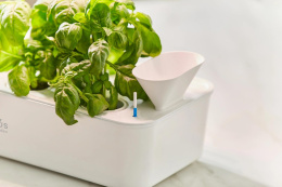 Гидропонная установка Cactus Garden CS-LEDPOT-10 2л 20 белый