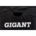 Телескопическая лестница Gigant 3.2м LT-01 1x11