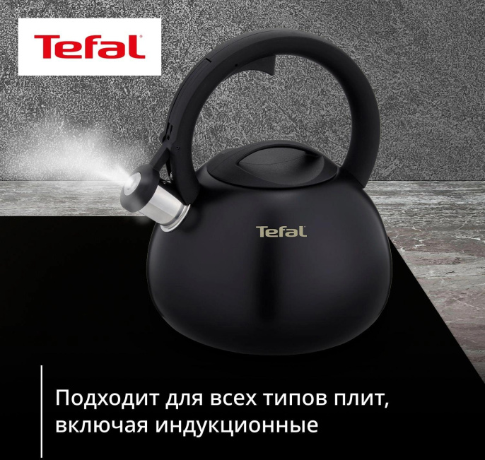 Чайник металлический Tefal Intuition N4180417 2.5л. черный 3110601825