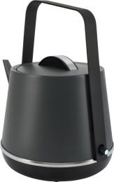 Чайник электрический Rondell RDE-WK813, 0.8л, металл