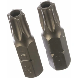 Бита Torx Tamper ТТ30, 25 мм, 2 шт. REDVERG 6623500