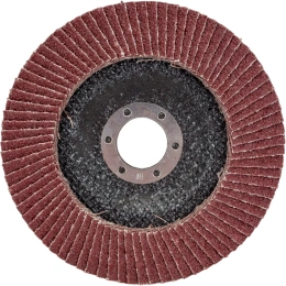 Круг лепестковый торцевой (125х22 мм; Р40) ТУНДРА 1124383