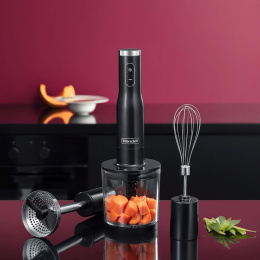 Блендер Rondell RDE-1302,  погружной,  серебристый