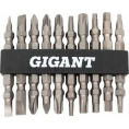 Набор бит 10 шт. двусторонних Cr-V Gigant G-11334