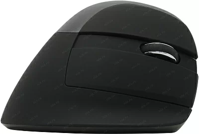 Манипулятор DELUX Wireless&Bluetooth Vertical Mouse M618Mini Jet Black (RTL) USB 6btn+Roll