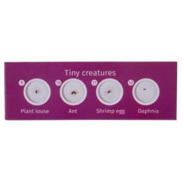 Набор микропрепаратов LEVENHUK LabZZ CP24, 6 предметов [72870]
