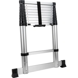 Лестница телескопическая 2.9м Gigant LT-01 1x10