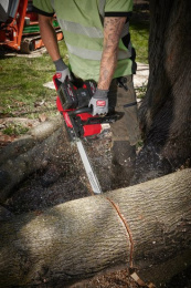 Шина для высотореза Milwaukee M18 FOPH-CSA 10''/25 см (4932480170) (длина цепи: 25 см, толщина: 1.1 мм, шаг цепи: 9.5 мм)