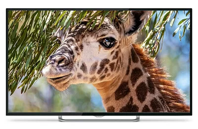 Телевизор LED PolarLine 50" 50PU11TC-SM черный/Ultra HD/50Hz/DVB-T/DVB-T2/DVB-C/USB/WiFi/Smart TV (RUS)