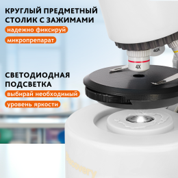 Микроскоп Levenhuk Discovery Micro Polar с книгой