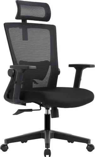 Кресло компьютерное EVOLUTION ErgoLine 1