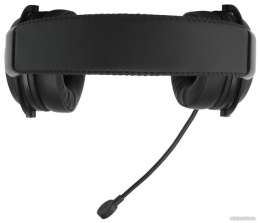 Наушники с микрофоном Acer AHW120 черный 2.1м мониторные USB оголовье ZL.HDSCC.01C