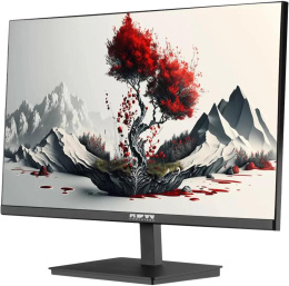 Монитор RDW Computers 23.8" RDW2401K черный IPS 4ms 16:9 HDMI матовая 250cd 178гр/178гр 1920x1080 100Hz VGA DP FHD 4.185кг RUS 2401K/F00В0100V2A1H