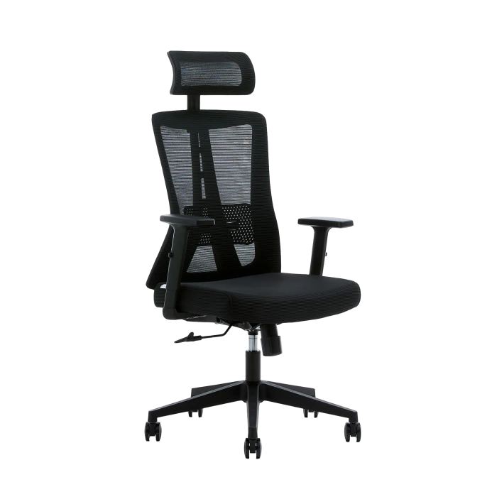 Кресло офисное компьютерное EVOLUTION ErgoLine 3 Black