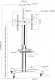 Подставка для телевизора Arm Media PT-STAND-11 черный 32"-65" макс.40кг напольный фиксированный