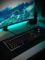 Клавиатура SunWind SW-K900G механическая черный USB Multimedia for gamer LED 1422332 кабель 1.8м