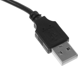 Web-камера Ritmix RVC-250,  черный [80001305]