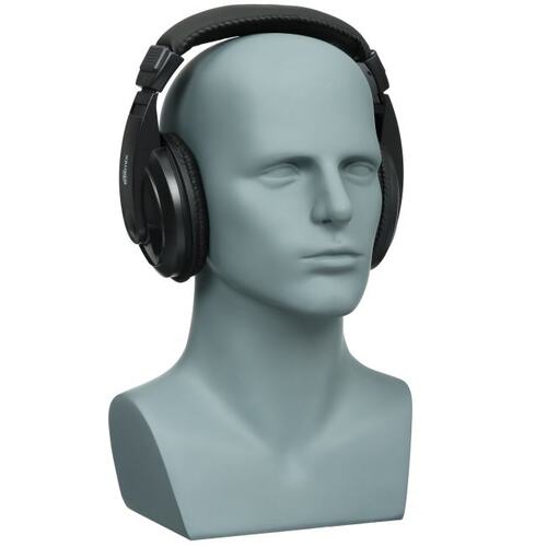 Наушники RITMIX RH-524TV {40 мм, 20-20000 Гц, 32 Ом, 99 дБ ± 3 дБ, 5 м, пластик}