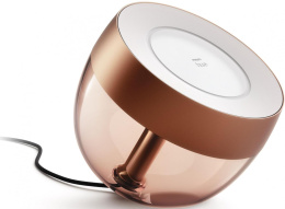 Умный светильник Philips Hue Iris настол. медный 929002376801