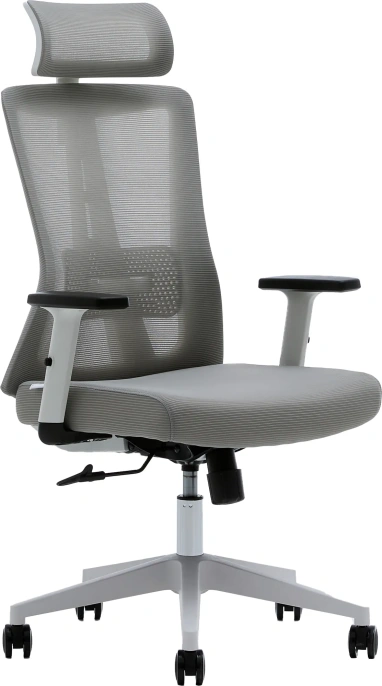 Кресло компьютерное EVOLUTION ErgoLine 3 Grey