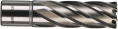 Фреза Milwaukee HSS D20x50мм (4932343295) (кольцевая, с хвостовиком Weldon 19мм, на 30% больше производительности)