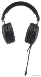 Наушники с микрофоном Acer AHW120 черный 2.1м мониторные USB оголовье ZL.HDSCC.01C