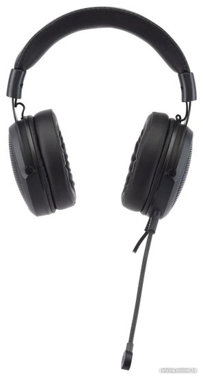 Наушники с микрофоном Acer AHW120 черный 2.1м мониторные USB оголовье ZL.HDSCC.01C