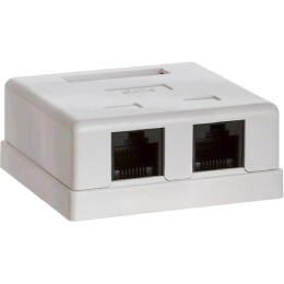 Bion Внешняя сетевая розетка BXP-ENS-C5E-2P-1 RJ-45 cat. 5e, 2 порта, 110&Krone