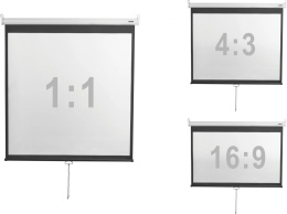 Экран настенный Digis DSOD-4302, формат 4:3, 86" (178x139), MW )