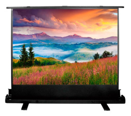 Экран Cactus FloorExpert CS-PSFLE-120X68,  120х68 см, 16:9,  напольный