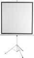 Экран Digis 120" 189x248см Kontur-D DSKD-4304 4:3 напольный рулонный