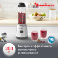Блендер стационарный Moulinex LM15FD10 300Вт серебристый/черный 7211004943