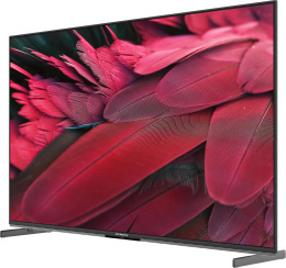55" Телевизор SKYWORTH 55X85G QD-Mini LED QLED, 4K Ultra HD, черный, СМАРТ ТВ, Google TV