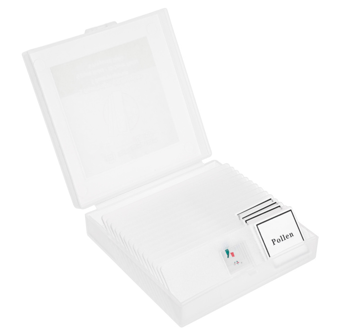 Микроскоп Bresser Junior Biotar 300–1200x, без кейса