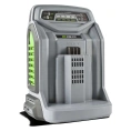 Зарядное устройство для аккумуляторов Remarc EGO 1429519