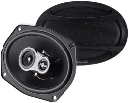 Колонки автомобильные NAKAMICHI NSE-6918R,  15x23 см (6x9 дюйм.),  комплект 2 шт. [nak-nse-6918r]