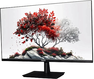 Монитор RDW Computers 27" RDW2701K_Q00B0 черный IPS 5ms 16:9 HDMI матовая 1000:1 250cd 178гр/178гр 2560x1440 VGA DP QHD (RUS)