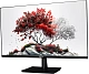 Монитор RDW Computers 27" RDW2701K_Q00B0 черный IPS 5ms 16:9 HDMI матовая 1000:1 250cd 178гр/178гр 2560x1440 VGA DP QHD (RUS)