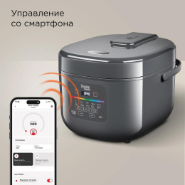Мультиварка Редмонд MC100S 5л 860Вт серый