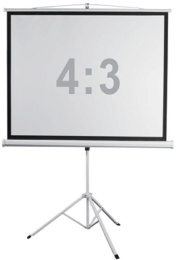 Экран Digis 120" 189x248см Kontur-D DSKD-4304 4:3 напольный рулонный