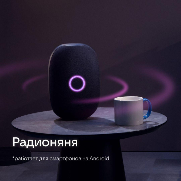 Умная колонка VK Капсула 30Вт, с Марусей, черный [mrc01bl]