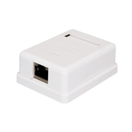 Bion Внешняя сетевая розетка BXP-ENS-C5E-1P-1 RJ-45 cat. 5e, 1 порт, 110&Krone